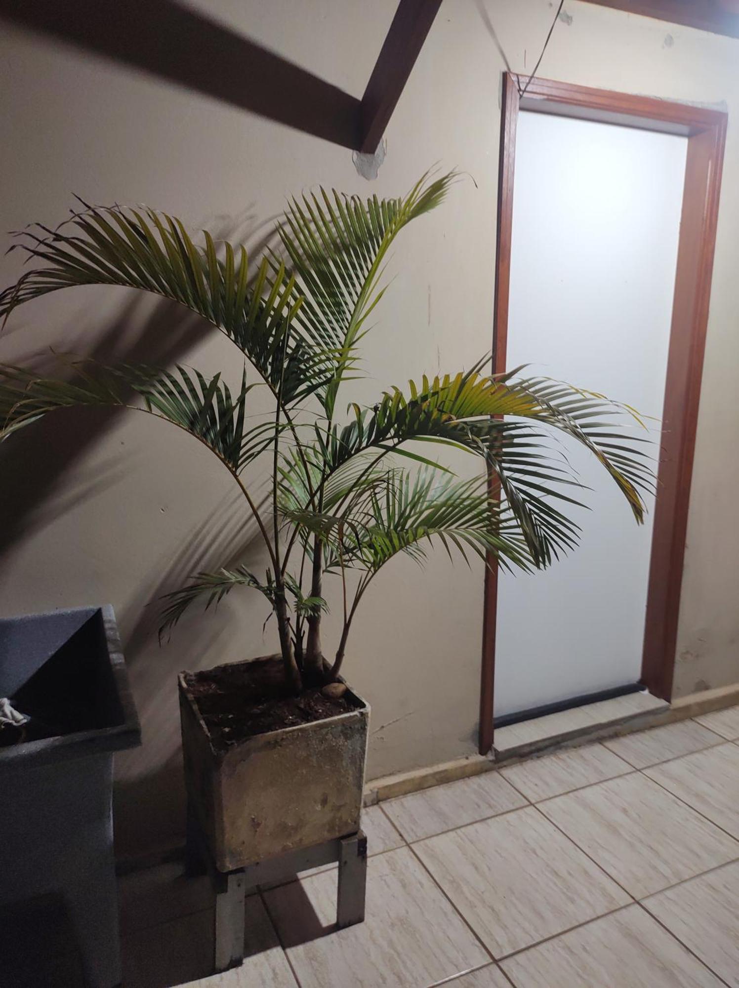 Quarto Confortavel Com Garagem Holambra Exterior foto